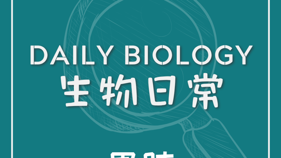 生物日常肚腩與腹脹主題封面