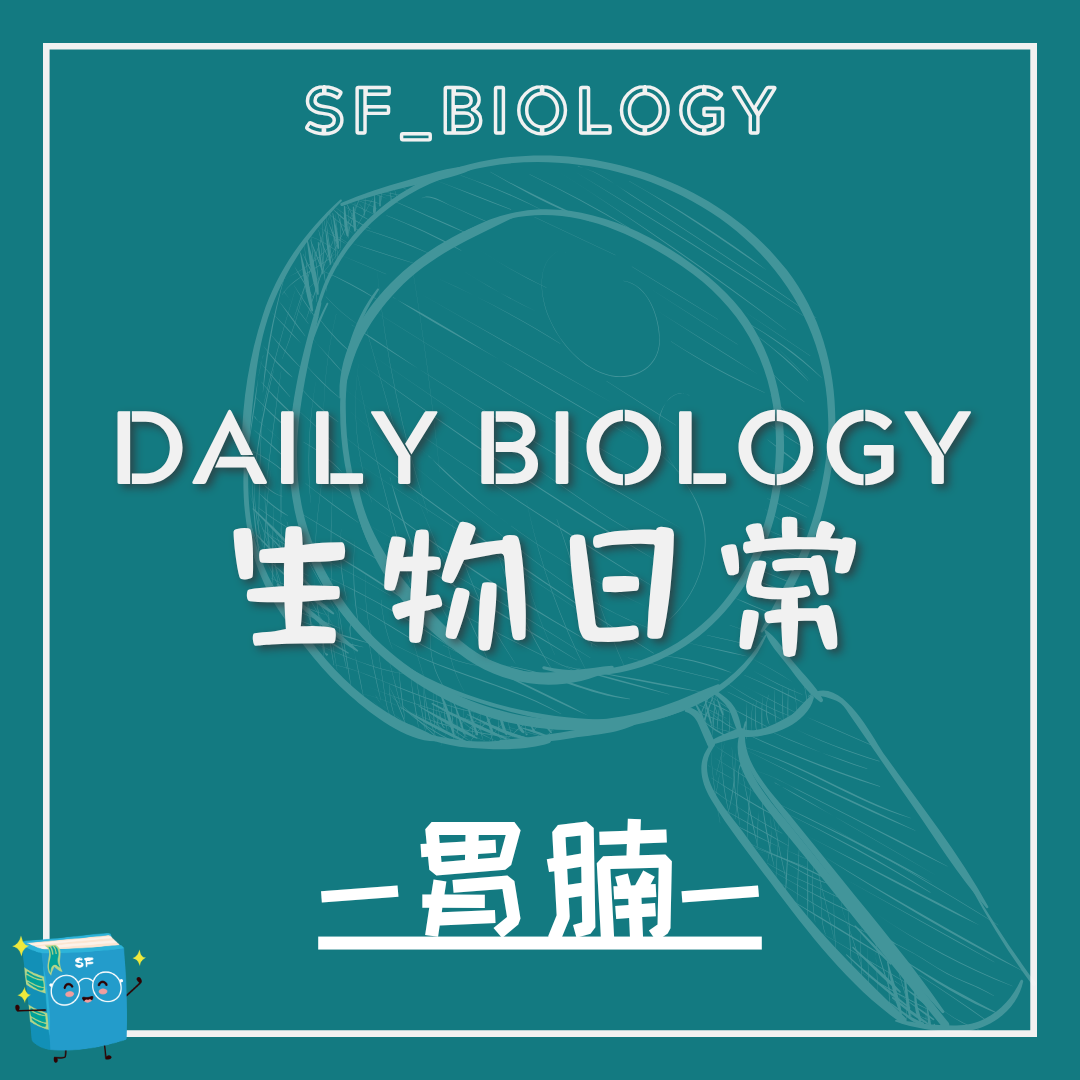 生物日常肚腩與腹脹主題封面