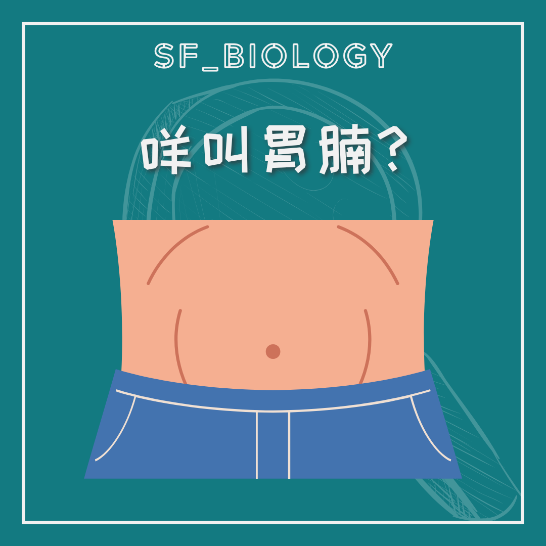 腹部突出是否等於肚腩的提問