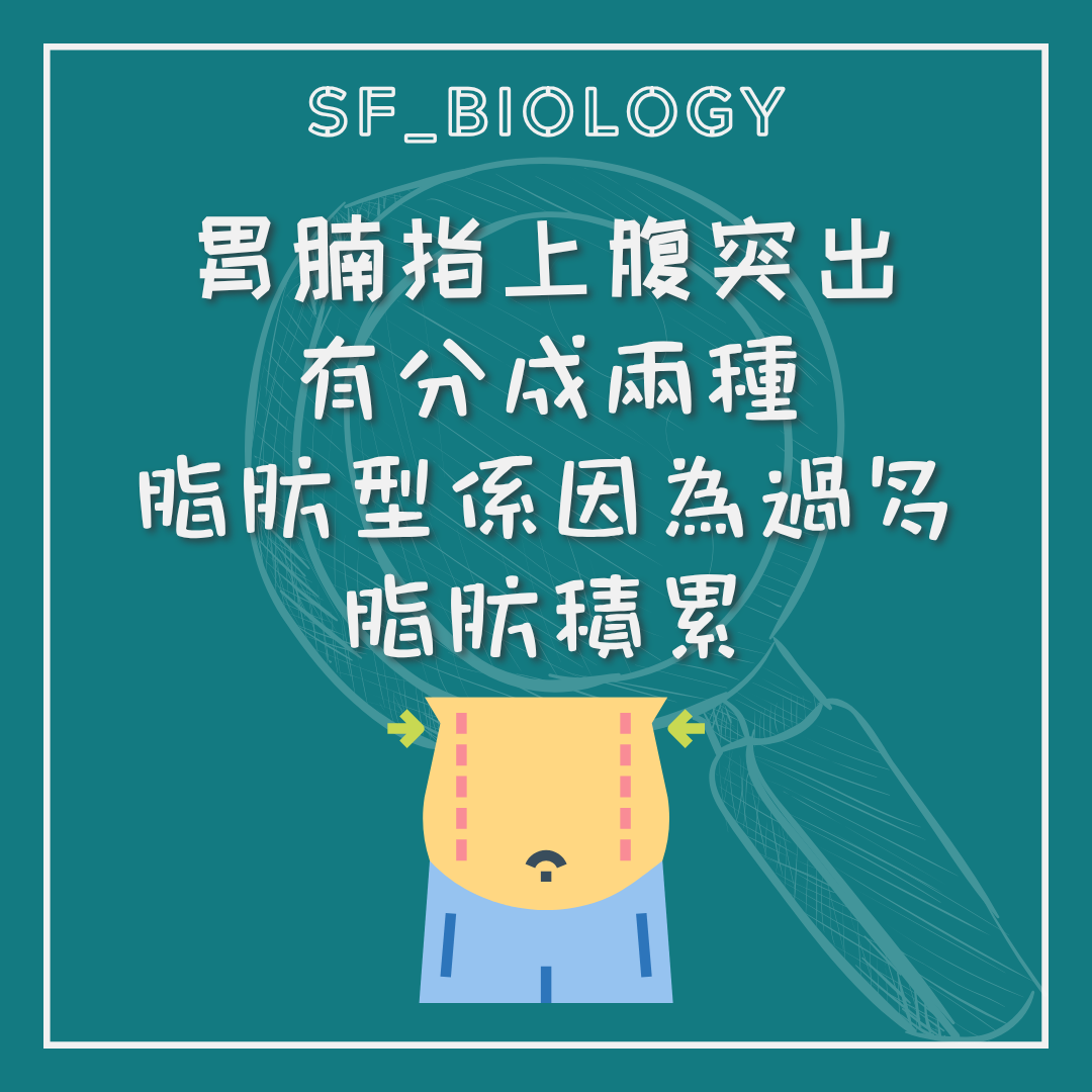 腹部脂肪與胃腸腹脹兩種情況的比較