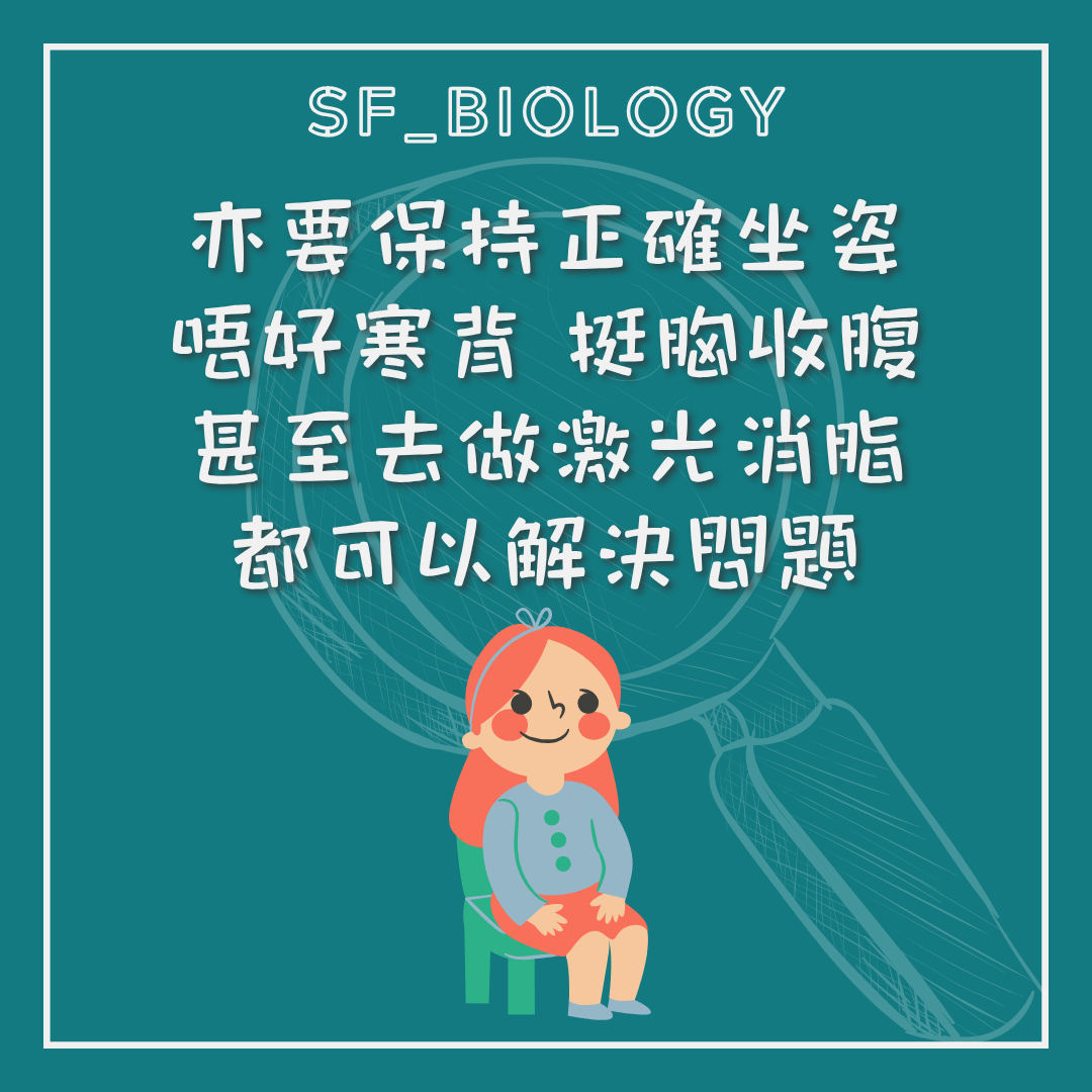保持合適坐姿與腹部舒適的生活提示