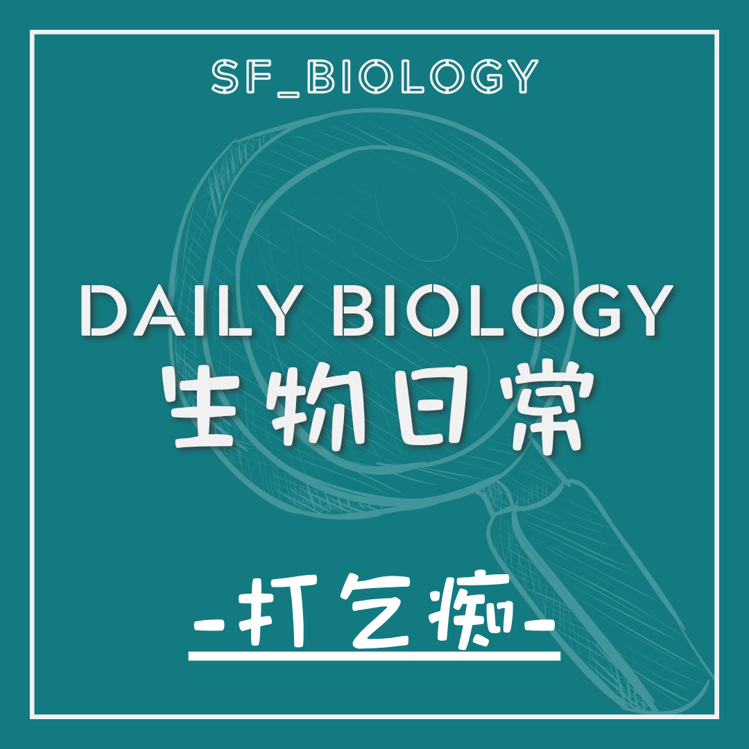 生物日常打噴嚏反射主題封面