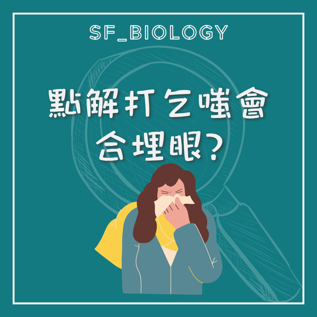為何人會打噴嚏的提問