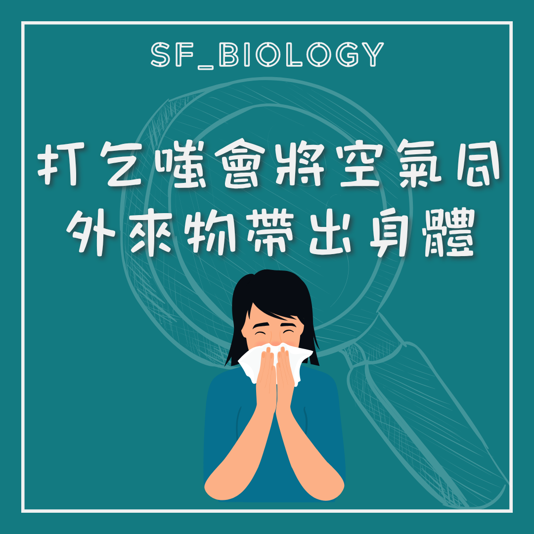 打噴嚏把空氣和分泌物排出的示意圖