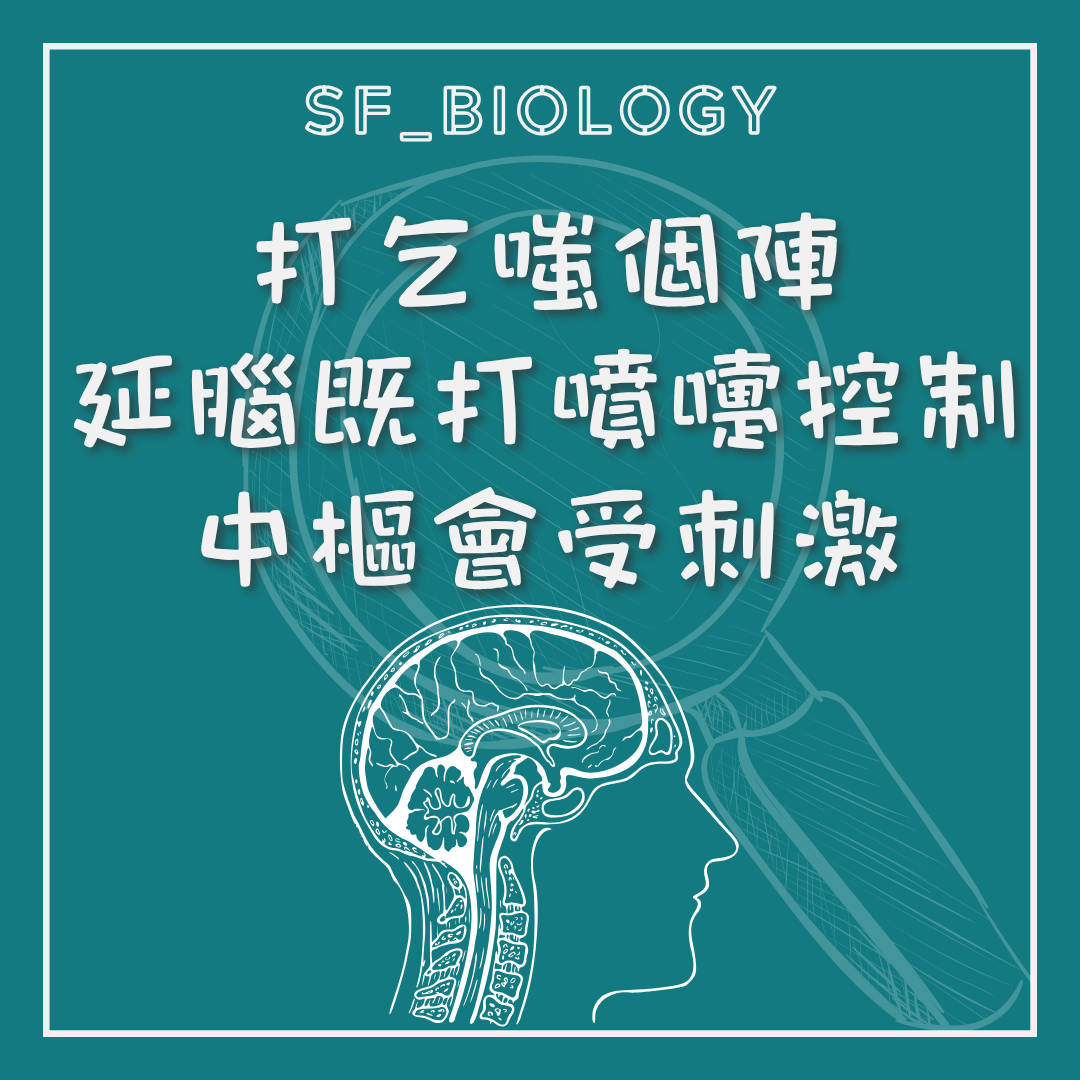 延髓參與協調打噴嚏反射的說明