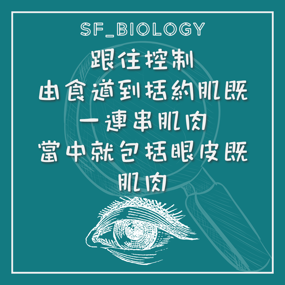 亮光可能誘發噴嚏的神經反射說明
