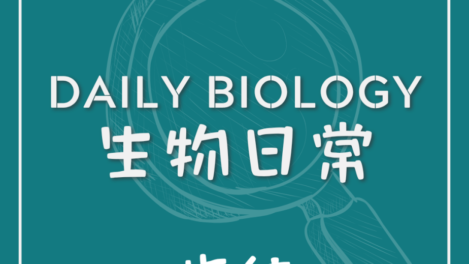 生物日常指紋主題封面