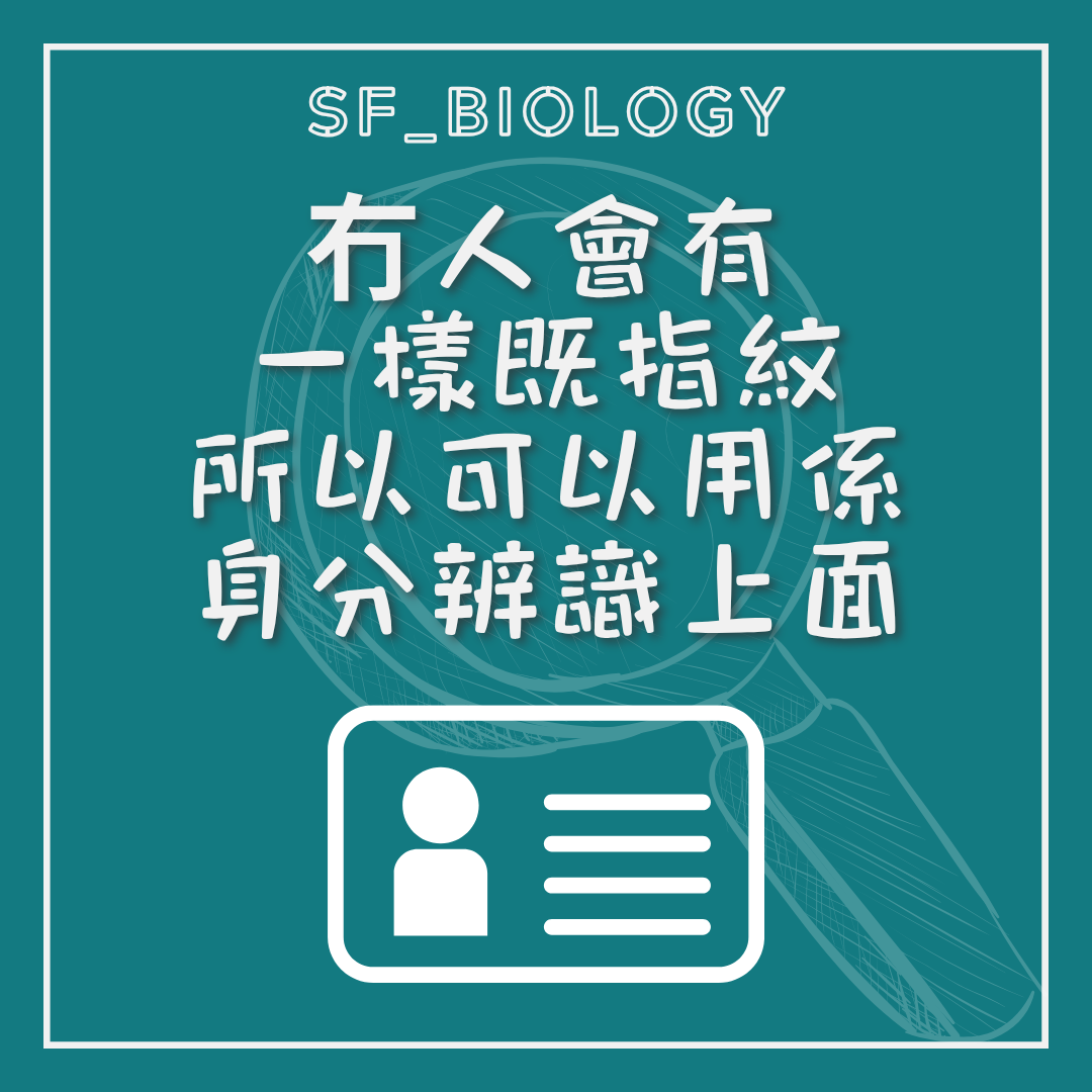 指紋可作身分辨識的說明