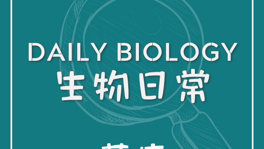生物日常黃疸主題封面