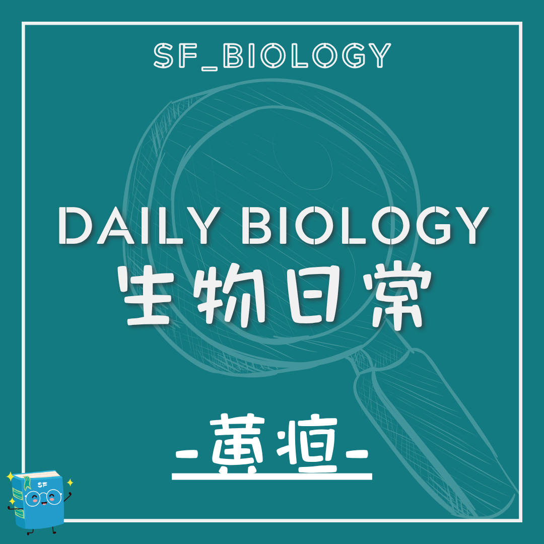生物日常黃疸主題封面