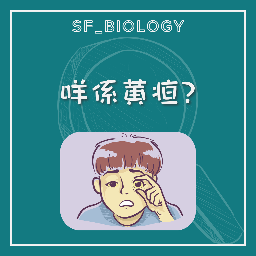 皮膚和眼白變黃是否代表黃疸的提問