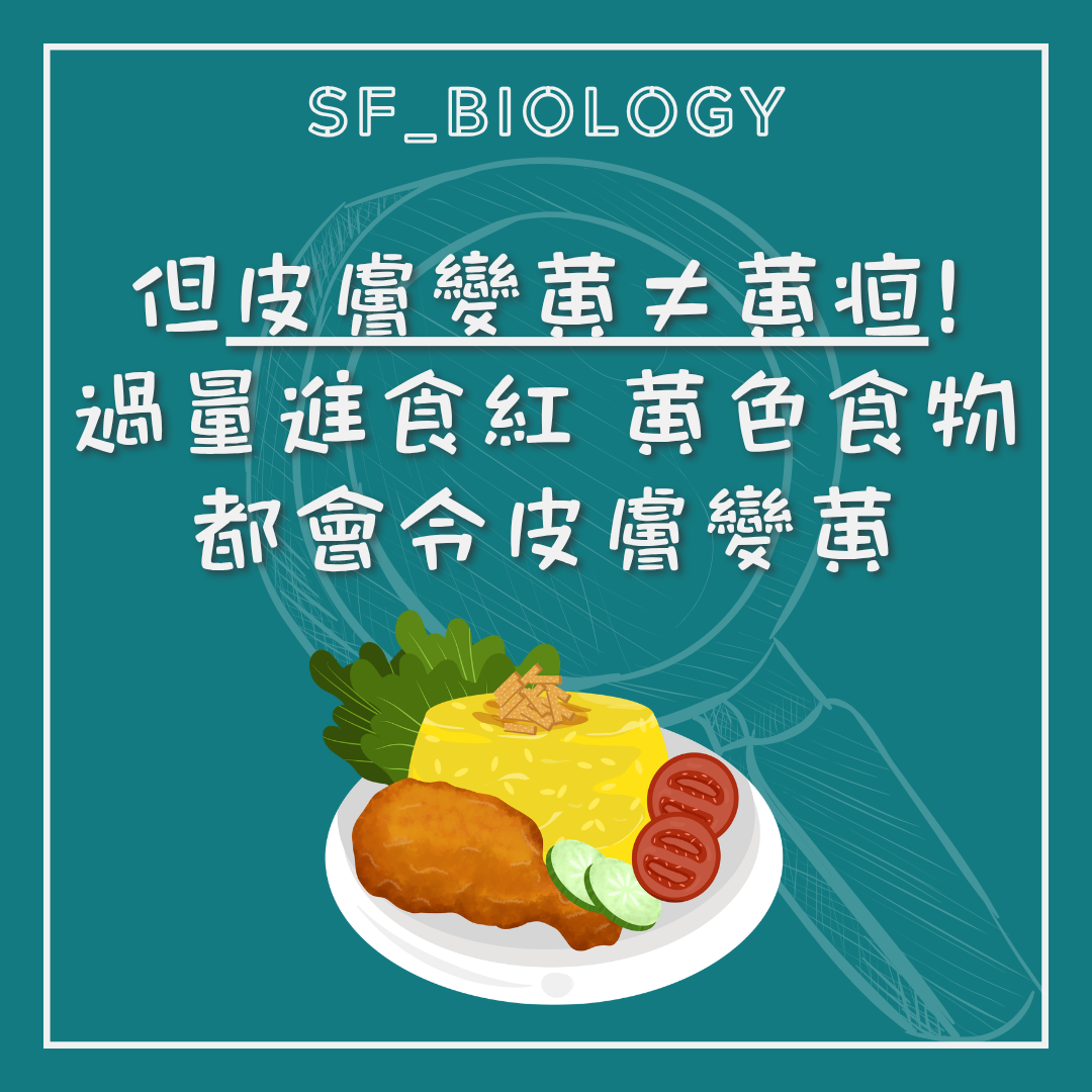 胡蘿蔔素可令皮膚變黃但不等於黃疸