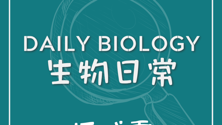 生物日常打呵欠主題封面