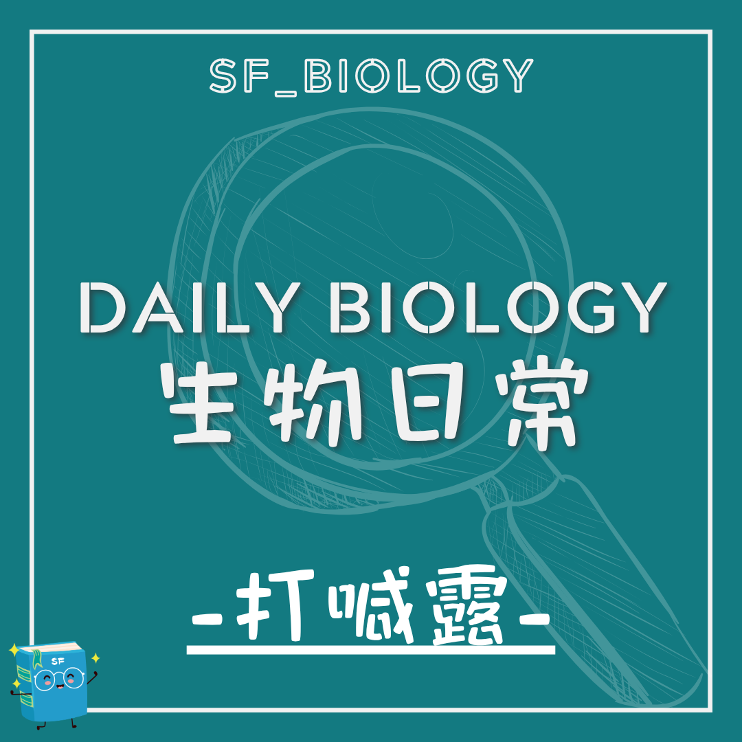 生物日常打呵欠主題封面