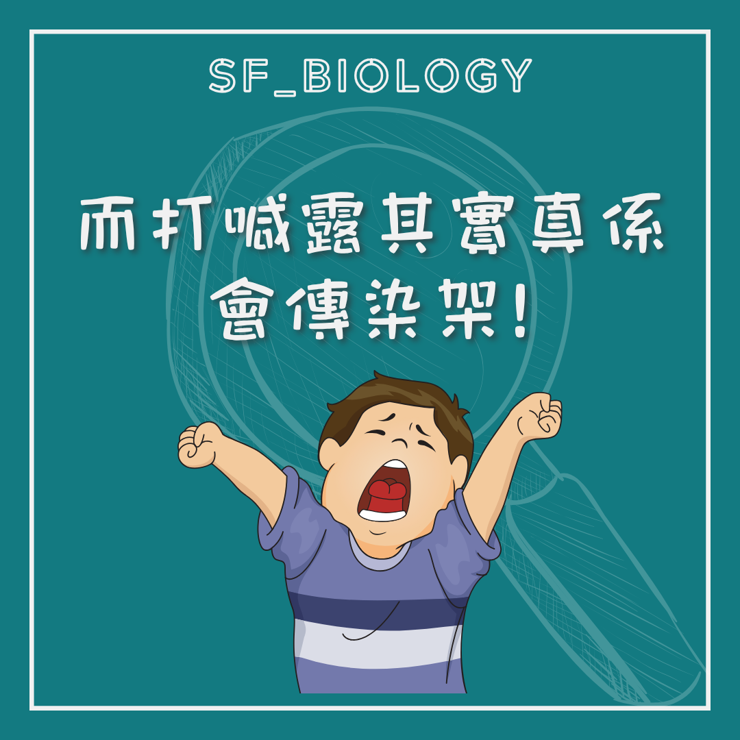 打呵欠可以受他人動作誘發的示意