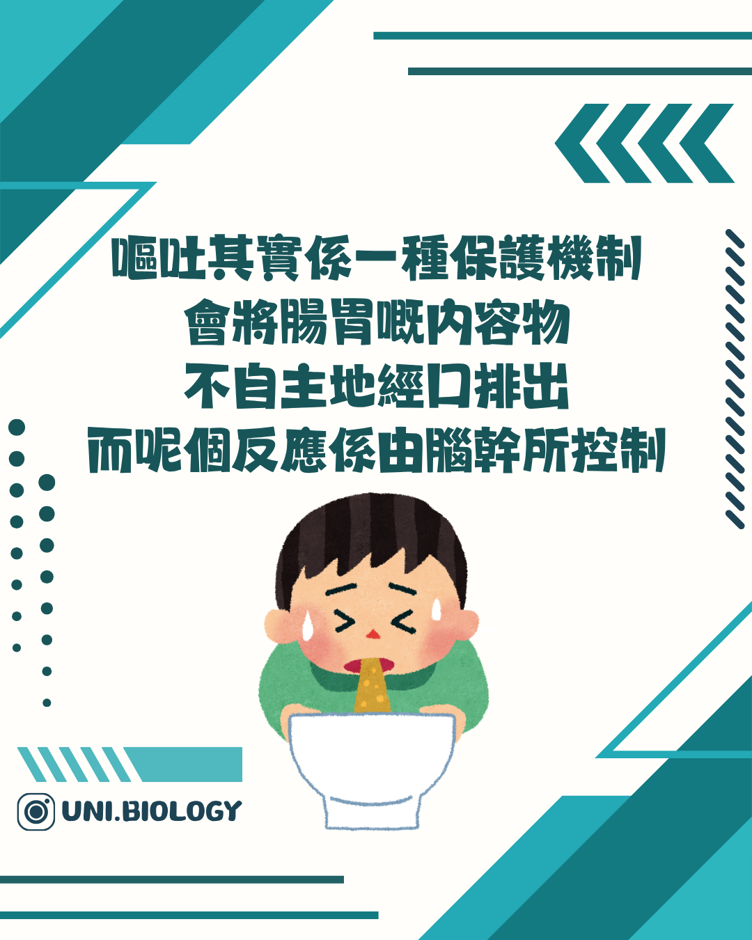 嘔吐可作保護反應的示意