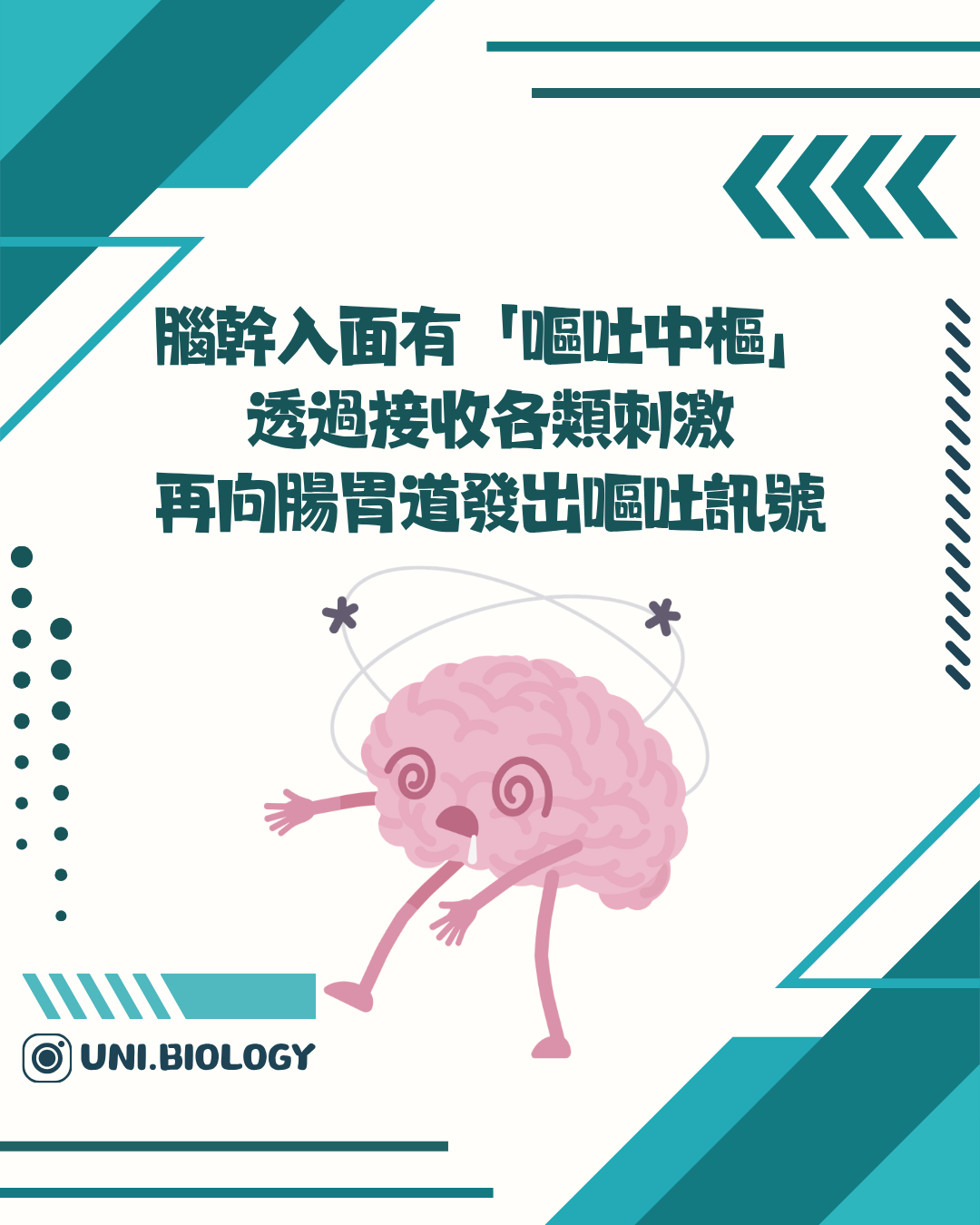 腦幹整合嘔吐訊號的說明