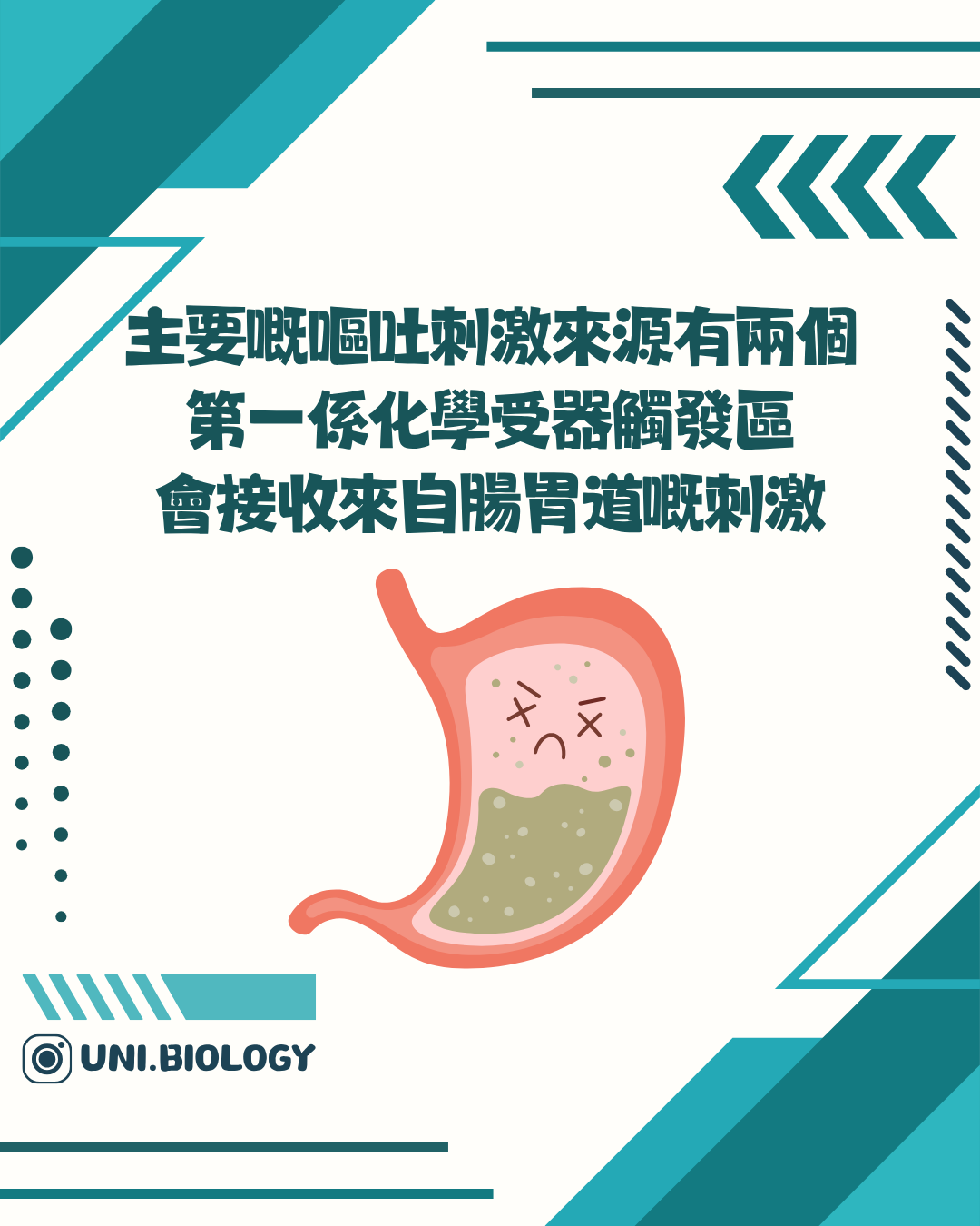 化學感受區接收血液刺激的示意