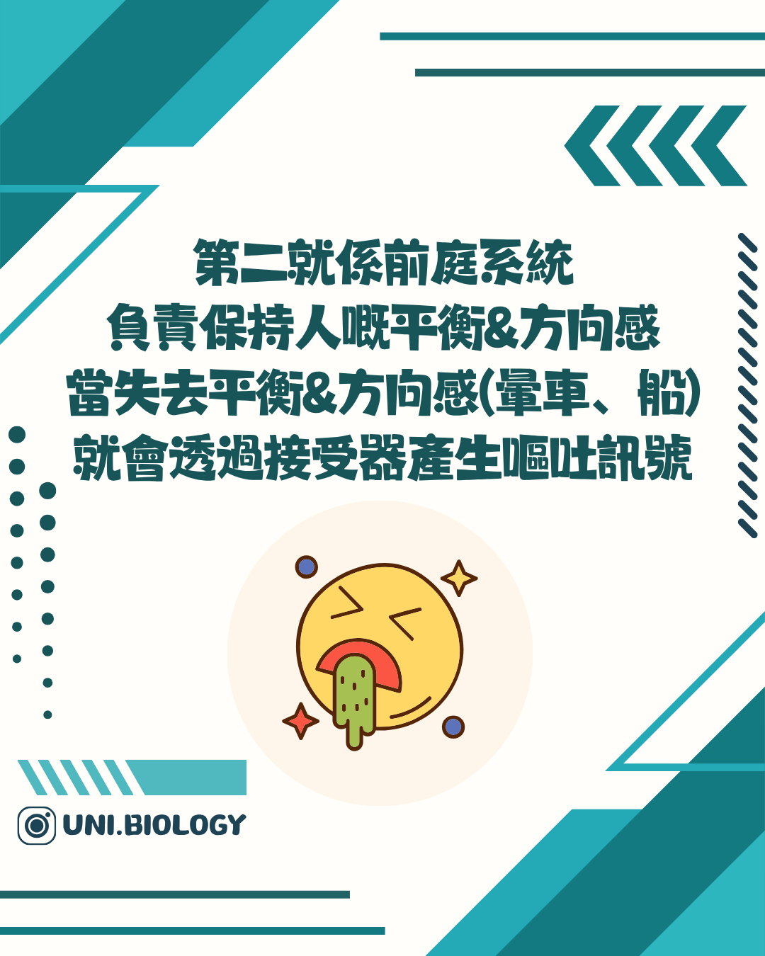 前庭系統失衡可引起暈浪和嘔吐