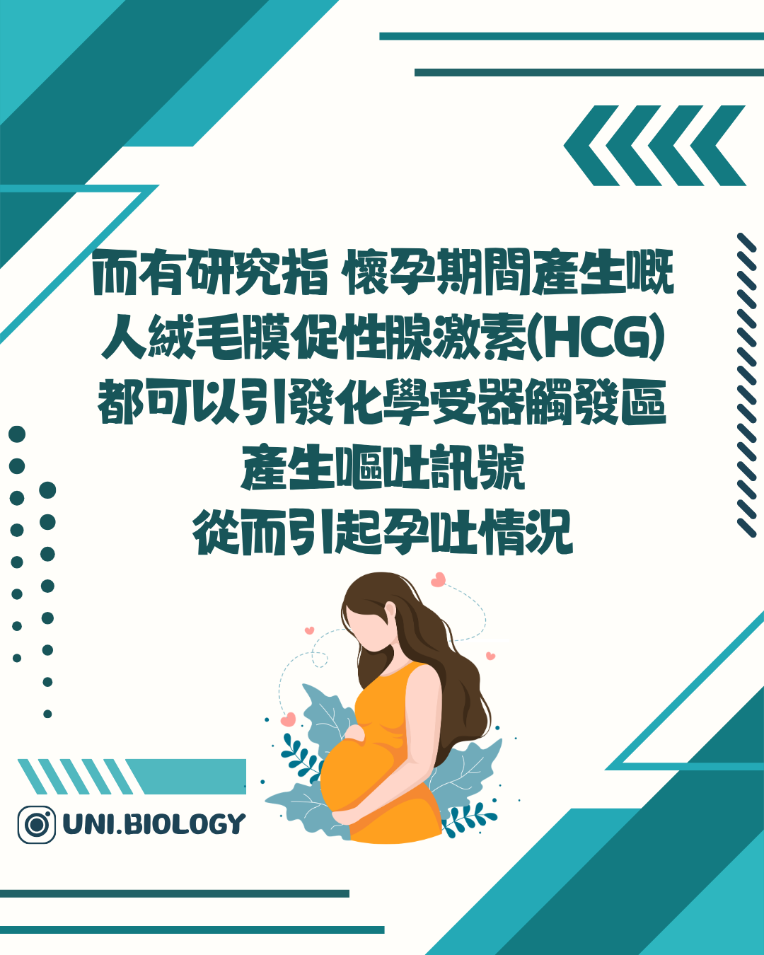 懷孕荷爾蒙變化與噁心嘔吐的說明