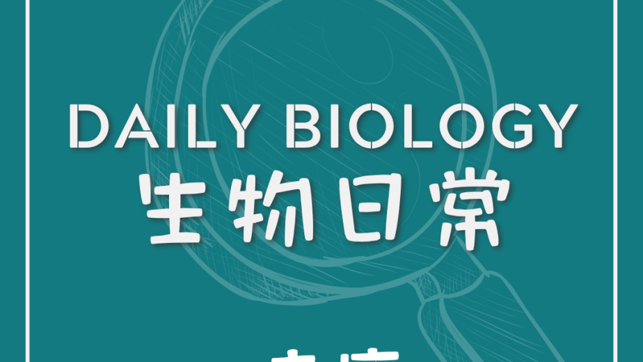 生物日常牛奶與暗瘡主題封面