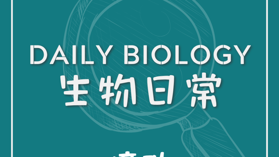 生物日常動物瞳孔形狀主題封面