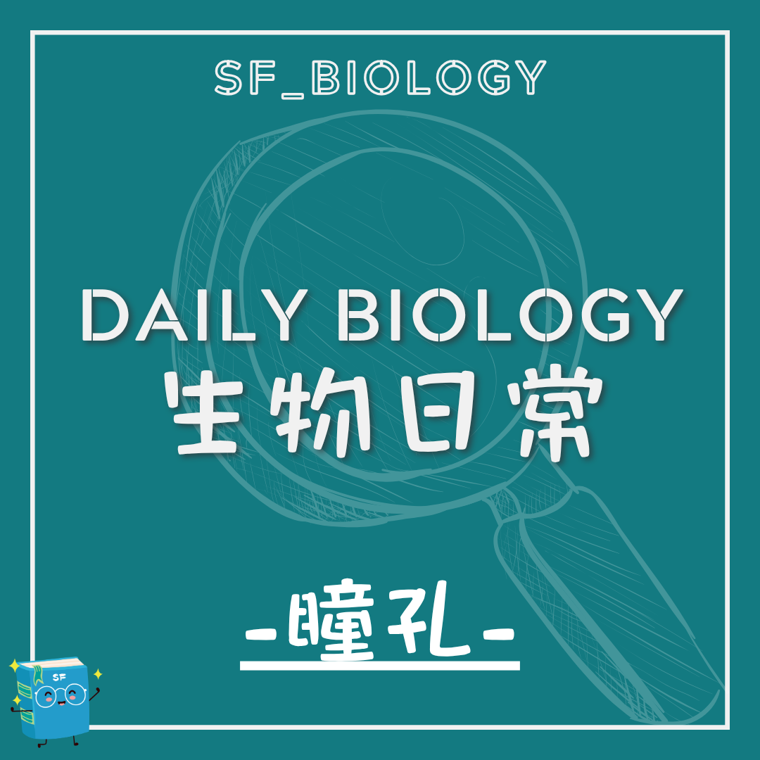 生物日常動物瞳孔形狀主題封面