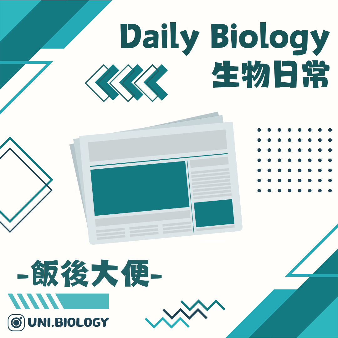 生物日常飯後便意主題封面