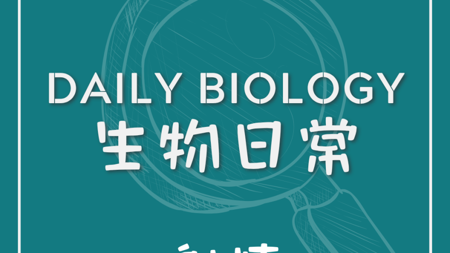 生物日常男性射精生理主題封面
