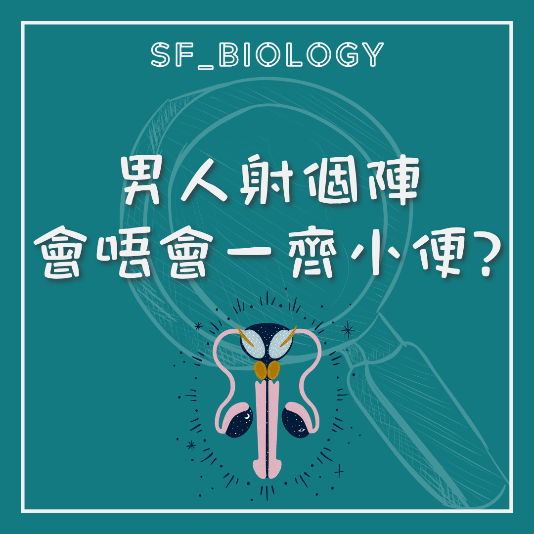 男性射精時尿液與精液是否混合的提問