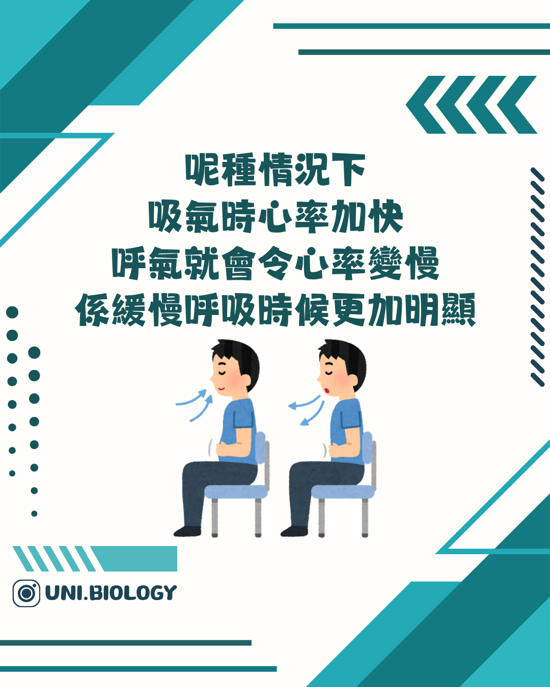 吸氣心率加快及呼氣心率減慢的比較