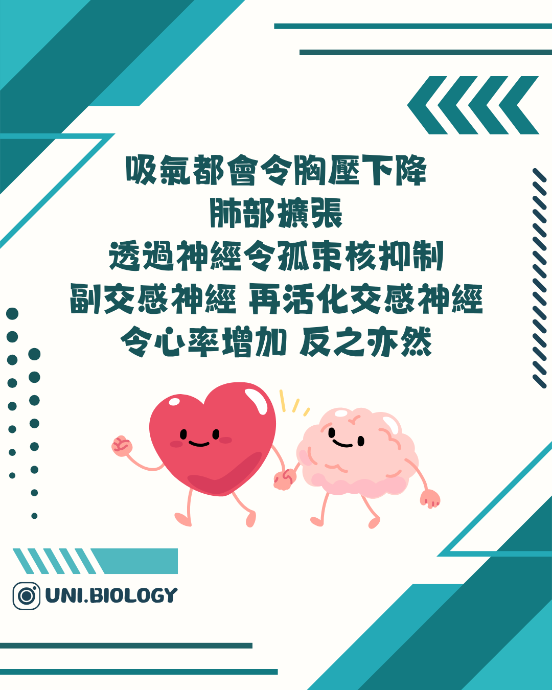 胸腔壓力與自主神經共同影響心率