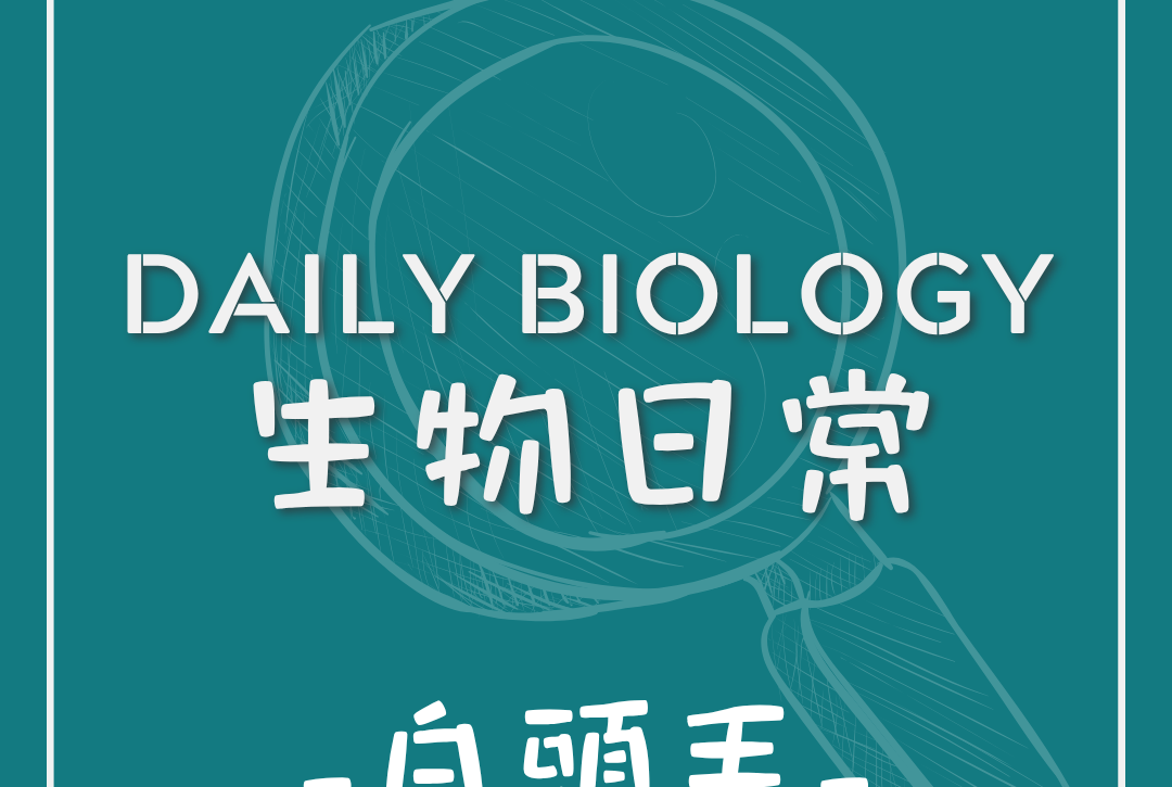 生物日常白頭髮形成主題封面