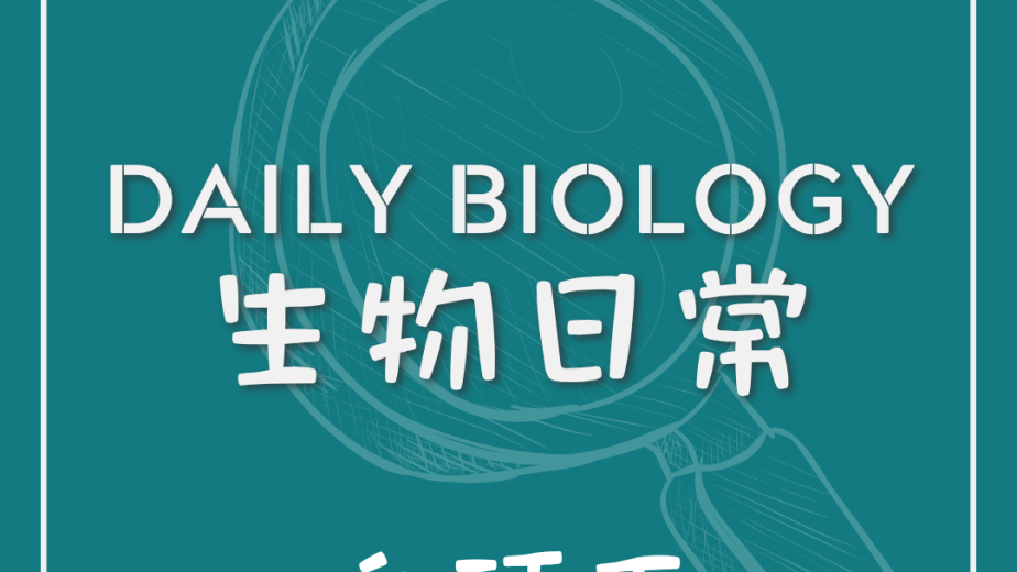 生物日常白頭髮形成主題封面