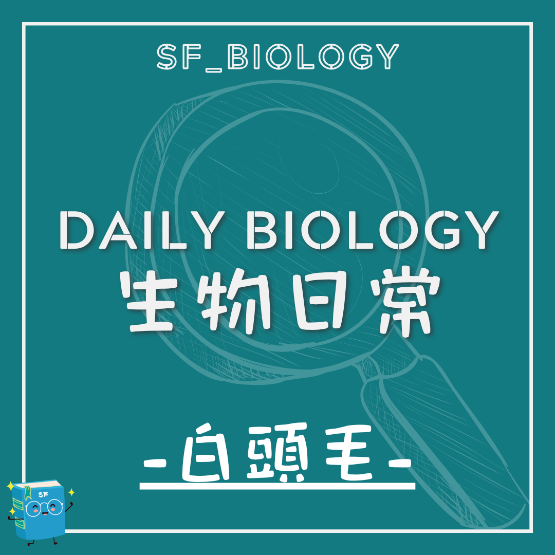 生物日常白頭髮形成主題封面