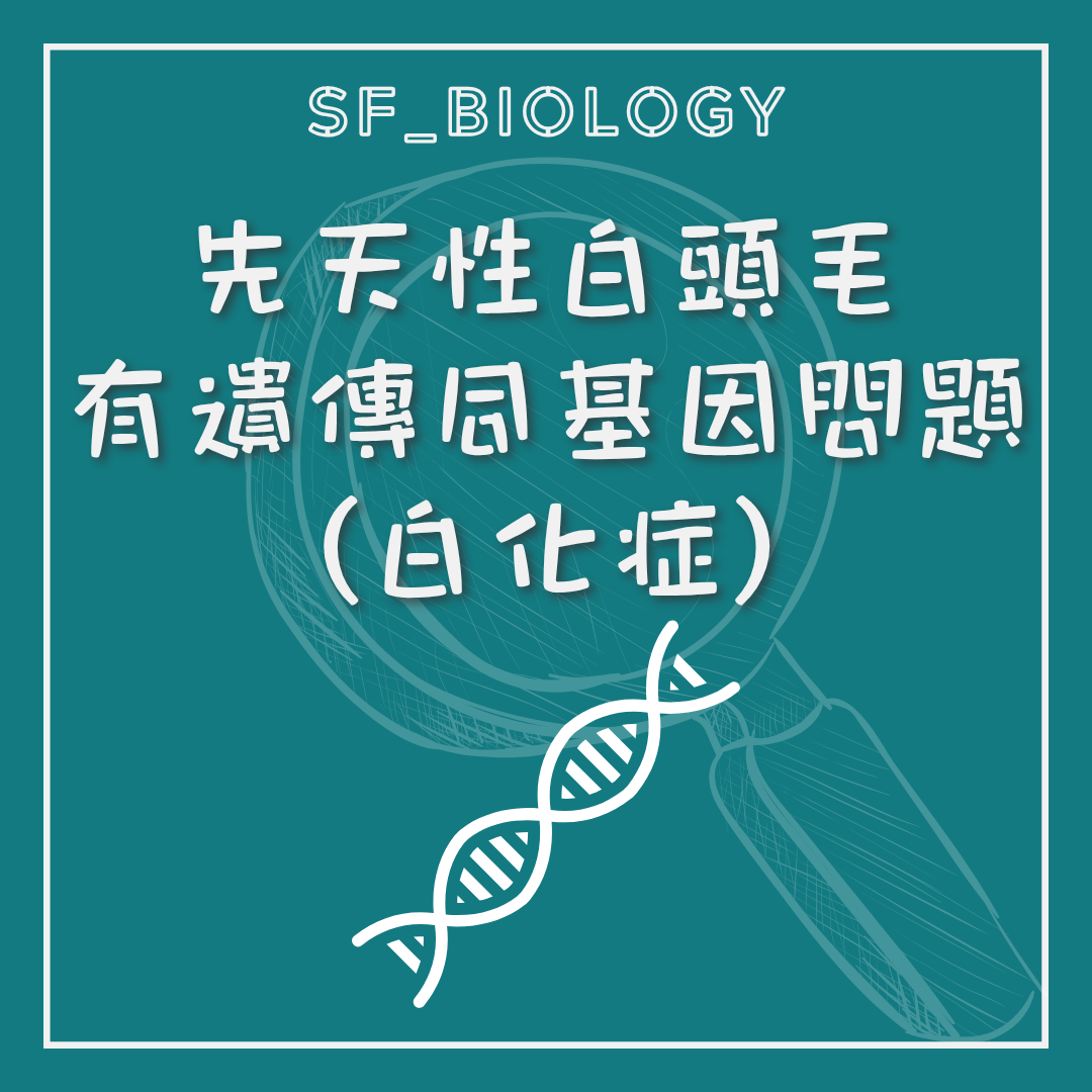 先天白髮可與遺傳及白化症有關